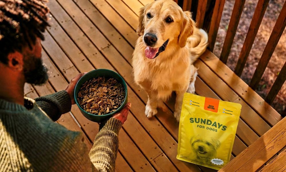 Sundays for Dogs